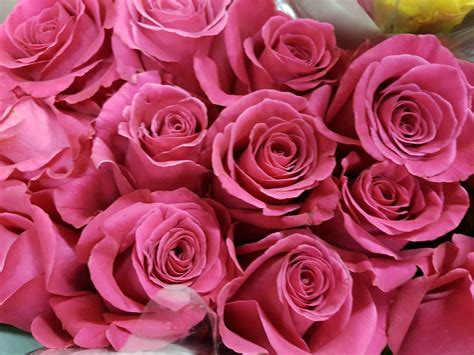 how much are wholesale roses